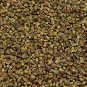 Hemp
