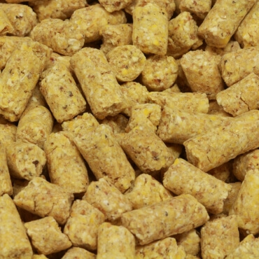 Babycorn Original